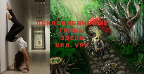 кристаллы Карпинск