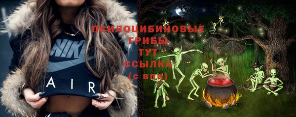 кристаллы Карпинск