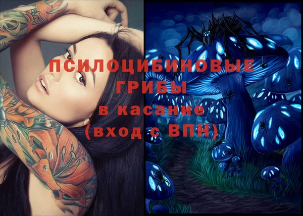 а пвп мука Касимов